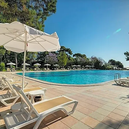 Ma Biche By Werde Kemer